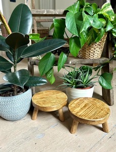 Support de plantes en bois naturel de luxe, pour l'intérieur et l'extérieur, porte-pot de fleurs décoratif - Product Image 4