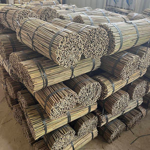 Canes en bambou naturel de qualité supérieure du Vietnam - Robustes et durables pour le jardinage et la clôture - Product Image 6