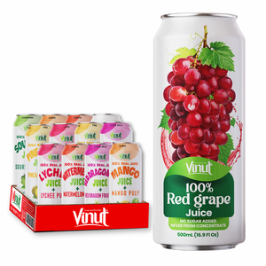 Bebida de Jugo 100% Vietnamita 500ml Sin Azúcar, Con Pulpa, Variedad de Sabores, Marca Privada, OEM/ODM Disponible - Product Image 1