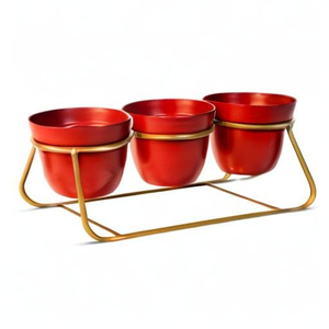 Macetero Moderno de Metal con Soporte de Hierro, Maceta Decorativa Elevada para Plantas de Interior, Suculentas y Hogar con Estilo - Product Image 3