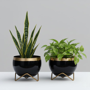 Maceta Negra Brillante con Borde Dorado y Soporte Metálico, Elegante Maceta Decorativa para Plantas de Interior, Moderna para Sala de Estar - Product Image 1