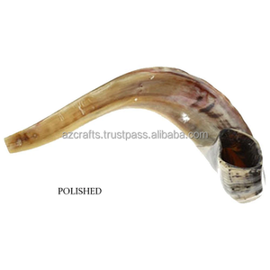 KOSHER ODORLESS 16 \ "Ram Shofar Horn Boquilla Lisa Israel 14 \" Color natural Forma natural Tamaño personalizado Animal náutico - Product Image 5