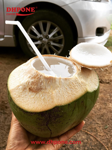 Noix de coco vertes jeunes de qualité supérieure, biologiques, fraîches, de qualité export, origine Ben Tre Vietnam, goût sucré, eau de coco en coque, vente en gros - Product Image 3