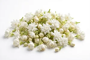 Huile essentielle de Mogra 100% pure, huile d'aromathérapie distillée à la vapeur, parfum floral pour massage, soin de la peau, apaisant, cosmétique - Product Image 2