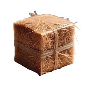 散装印度尼西亚椰子椰壳纤维爪哇农业天然家居装饰可可泥炭出口商 - Product Image 1