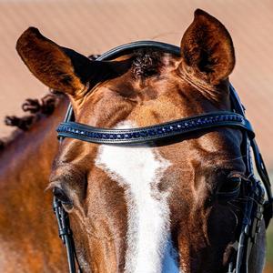 Diadema de cuero para caballo con costuras duraderas y acolchado suave, con cristales de marca incrustados, estilo Diamante Bling, disponible en todas las tallas. - Product Image 1
