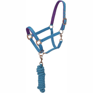 Harnais de cheval en nylon noir avec rembourrage blanc et boucles dorées pour l'équitation et l'entraînement - Product Image 3