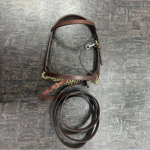 Harnais d'entraînement pour chevaux arabes de qualité supérieure en cuir de vachette pleine fleur avec laisse, fabriqué avec des accessoires en laiton massif. - Product Image 1