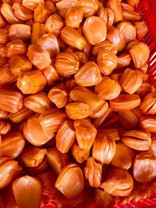 โรงงานผลิตขนุนแช่แข็ง IQF จากเวียดนาม จำหน่ายขนุนแช่แข็งแบบเป็นชิ้น ปริมาณมาก อายุการเก็บรักษา 24 เดือน - คุณทารินา - Product Image 3