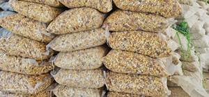 Natural Yellow Pebble <b>Stone</b> Mixed Irregular Shape for Garden Landscaping Decoration - Product Image 5