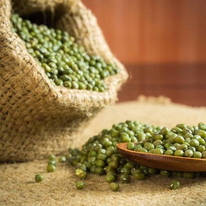 Haricots mungo riches en protéines, gramme vert nutritif pour usage domestique et industriel - Product Image 1