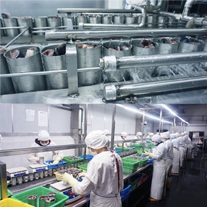 Tonno di Alta Qualità Certificato Halal dalla Cina, Confezione Grande da 1kg, Tonno Pronto da Mangiare Immerso in Acqua, Ideale per Attività di Catering - Product Image 5