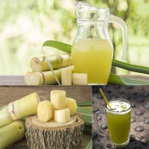 Proveedor de Caña de Azúcar Congelada de Primera Calidad al por Mayor, Top Ventas, Exportación a Granel, Oferta Especial, Jugo Natural de Caña Envasado al Vacío - Product Image 5