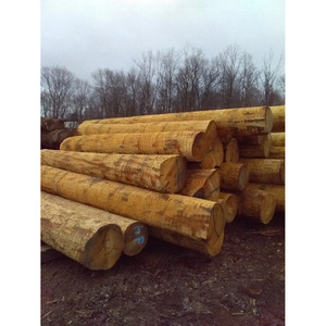 Troncos de Madera Dura de Grado de Construcción, Troncos de Chapa de Madera, Material de Madera Resistente, Perfecto para Carpintería y Uso Industrial - Product Image 4