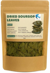 Hojas de guanábana secas premium |   Té de Hojas de Graviola Enteras y Cortadas (TBC) Orgánico - Product Image 5