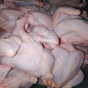 ผลิตภัณฑ์ไก่แช่แข็งที่มีคุณภาพเชื่อถือได้และรสชาติอร่อย สำหรับผู้ซื้อปลีก ครัวมืออาชีพ และการทำอาหารในครัวเรือน - Product Image 3