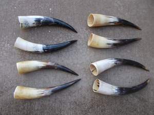 Taza para Beber de Cuerno de Búfalo Natural Pulido y Ecológico, Estilo Vikingo, con Color Personalizado para Decoración Rústica del Hogar - Product Image 2