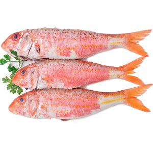 Sélection de premier choix de mulet rouge de mer congelé, proposé à prix réduit pour les acheteurs commerciaux à grande échelle - Product Image 3