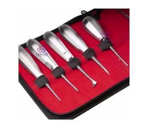 Ensemble de 13 élévateurs dentaires en acier inoxydable pour chirurgie orale, instruments chirurgicaux d'extraction dentaire MEDICAB Clinic MOL - Product Image 6