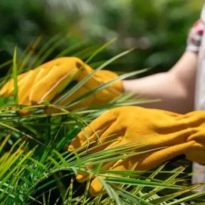 Yellow Cow Split & Grain Leather <b>Driving</b> <b>Gloves</b> Thorn Proof Garden Work Driver Safety Hand Protection Durability <b>Gloves</b> - Product Image 5