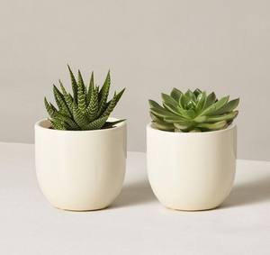 Maceta de Cerámica Hecha a Mano con Acabado Verde Mate, Duradera, para Interiores, para Suculentas, Decoración Moderna y Minimalista para el Hogar - Product Image 3