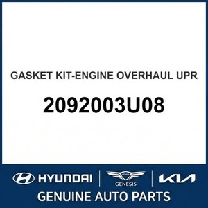 ปะเก็นและซีลใหม่ของ IONIQ รุ่น 2092003U08 - Product Image 1