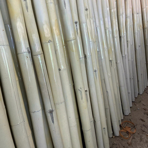 OFFRE EXCLUSIVE POUR LE PÔLE EN BAMBOU PRÊT À EXPORTER EN GRAND PRIX CONCURRENTIEL - Product Image 1