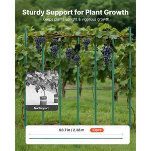 Lot de 10 piquets de tomate en métal recouverts de plastique de 93,7 pouces pour le soutien du jardin, bosses antidérapantes pour les plantes grimpantes, fournitures de jardin - Product Image 2