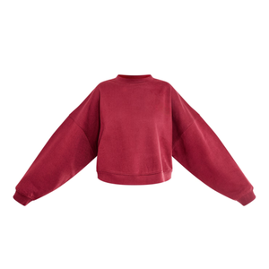 Usine Coton Polaire Puff Imprimer Surdimensionné Personnalisé Gris Ras Du Cou Pull Fille Pull Broderie Femmes Sweat À Capuche Sweats - Product Image 6