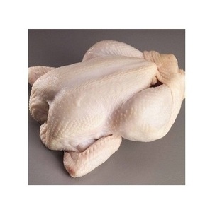 Pollo Entero Congelado HALAL de Primera Calidad y Cortes de Pollo, Pechuga Fresca de Grado Premium para Exportación - Product Image 1