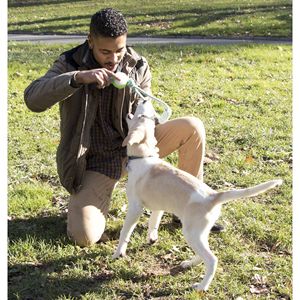 Giocattolo Interattivo per Animali Domestici con Corda e Pallina da Tennis, Stimola il Movimento e il Gioco - Product Image 3