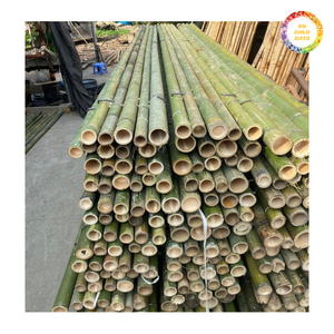 Varas de bambú de primera calidad, ideales para manualidades, construcción y decoración, que ofrecen resistencia y flexibilidad para usos múltiples. - Product Image 3