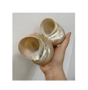 Turbo Shell - Concha de Caracol Verde Natural Pulida, Material de Concha Marina de Vietnam, Decoración para el Hogar, Manualidades para Acuarios, Estilo Animal Premium - Product Image 4