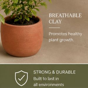 Maceta Pequeña de Terracota Hecha a Mano de Alta Calidad, 7 cm, Transpirable, Ecológica, para Jardín, Exterior, Hierbas, Cactus - Product Image 2
