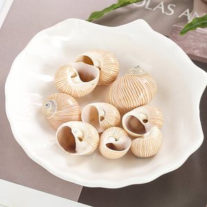 Conchas marinas naturales con diseño de rayas, muy vendidas, para decoración de fiestas playeras estilo boho. - Product Image 6