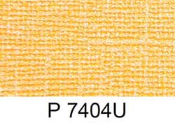 P 7404U