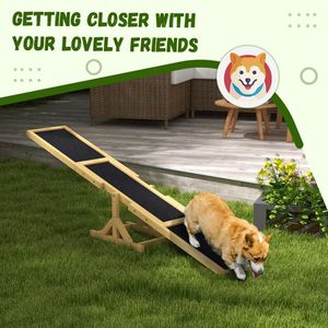 Rampe d'agilité pour chien et équipement d'entraînement à l'obstacle balançoire pour animaux de compagnie pour l'exercice canin - Product Image 2