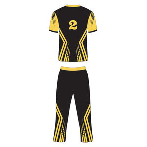 Uniformes Personalizados 100% Poliéster Unisex para Adultos, Logotipo de Clubes de Marca, Jersey de Cricket Sublimado de Alta Calidad y Transpirable - Product Image 3