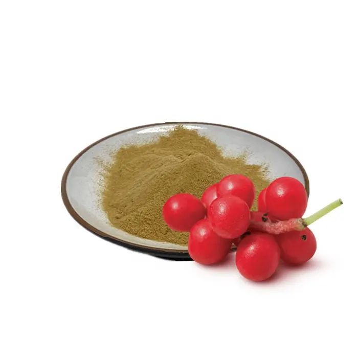 ISO Certified Natural Organic Wu Wei Zi Extract schisandra chinensis extract 2% Total Schizandrins