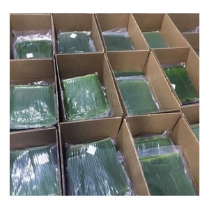 Nappe et sous-plat en feuilles de banane fraîches, biodégradables et naturelles, pour événements et services de restauration écologiques - Product Image 1