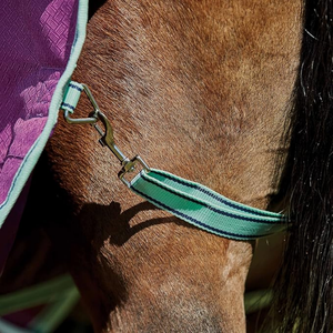 BRAND ZONE Polar Fleece Waterproof Custom Winter Horse <b>Rug</b> with 2 Leg Straps-Standard Neck Design - Product Image 5