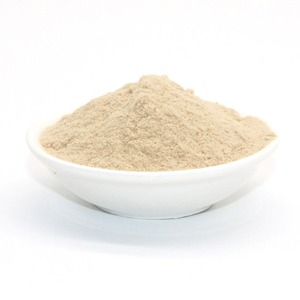 Most Selling <b>Bifidobacterium</b> Infantis <b>Probiotics</b> 10-150 BN CFU/g Bulk Powder for Nutra and Animal Feed Industry For Sale - Product Image 2