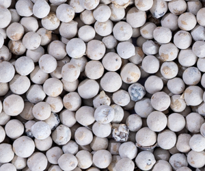 Pimienta Blanca Vietnamita Seca de Alto Aroma, Especias y Hierbas Enteras, Procesamiento en Crudo, 550g/L, OEM/ODM, Exportación, FAQ, Todos los Grados, Orgánico - Product Image 2