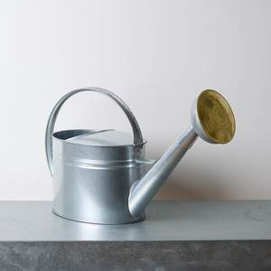 Regadera Ligera de Metal para Macetas de Interior, Jardines Exteriores, Viveros y Cuidado de Plantas en Balcones - Product Image 1