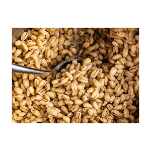 <b>Barley</b> Grains Premium <b>Barley</b> /malt <b>barley</b> - Product Image 3
