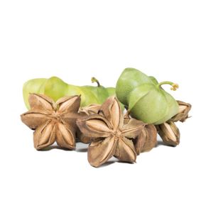 Graines de Sacha Inchi grillées avec variété de saveurs Snack protéiné à base de plantes Vente en gros OEM Friendly - Product Image 2