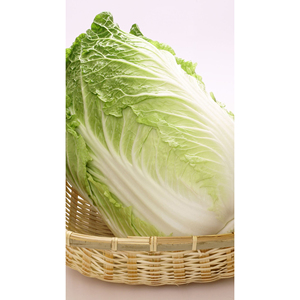 Nueva cosecha de verduras frescas: apio verde y repollo a precio asequible - Product Image 2