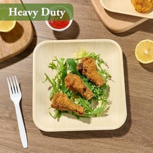 Areca Palm Leaf Engraved Square 7 Inches Disposable Plates Dish for Catering Parties Hotels Cafes Weddings Biodegradable Plates - Product Image 4