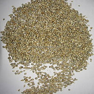 Aliments pour animaux riches en protéines séchés en grains de millet vert de meilleure qualité pour la nourriture pour oiseaux bovins chevaux exportation emballés dans des sacs - Product Image 3