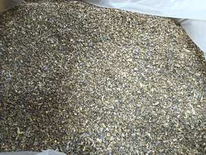 Extracto Herbal de Kaempferia Parviflora Certificado de Alta Calidad, Secado al Aire, Cultivo Silvestre, Jengibre Negro, Ginseng Tailandés, Salud - Product Image 2